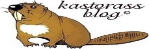 kastorass.blogspot.com